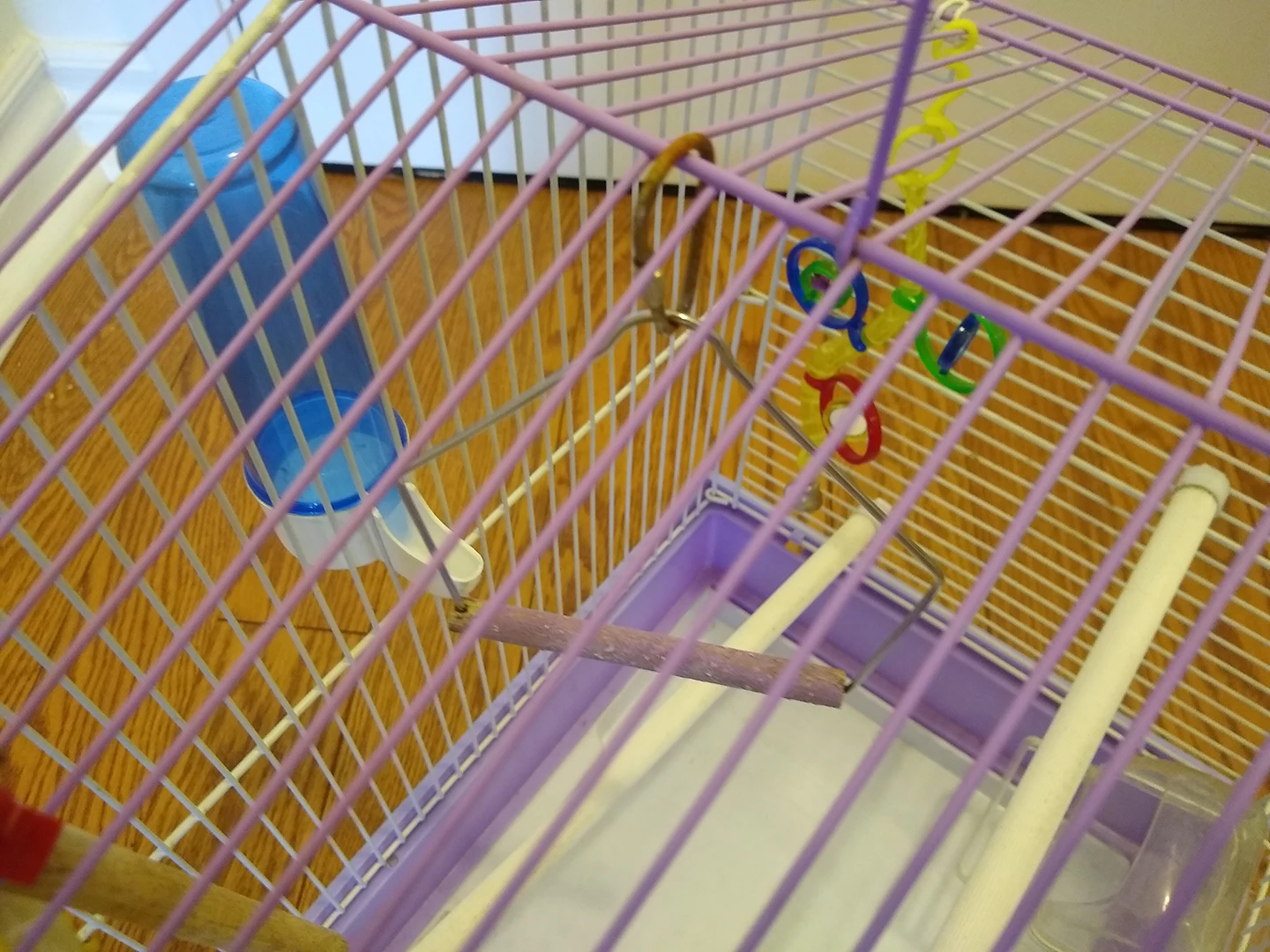 Bird Cage with Accessories image indicator(4)