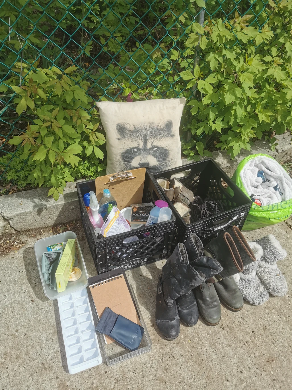 Free! Mix of woman's footwear and household items