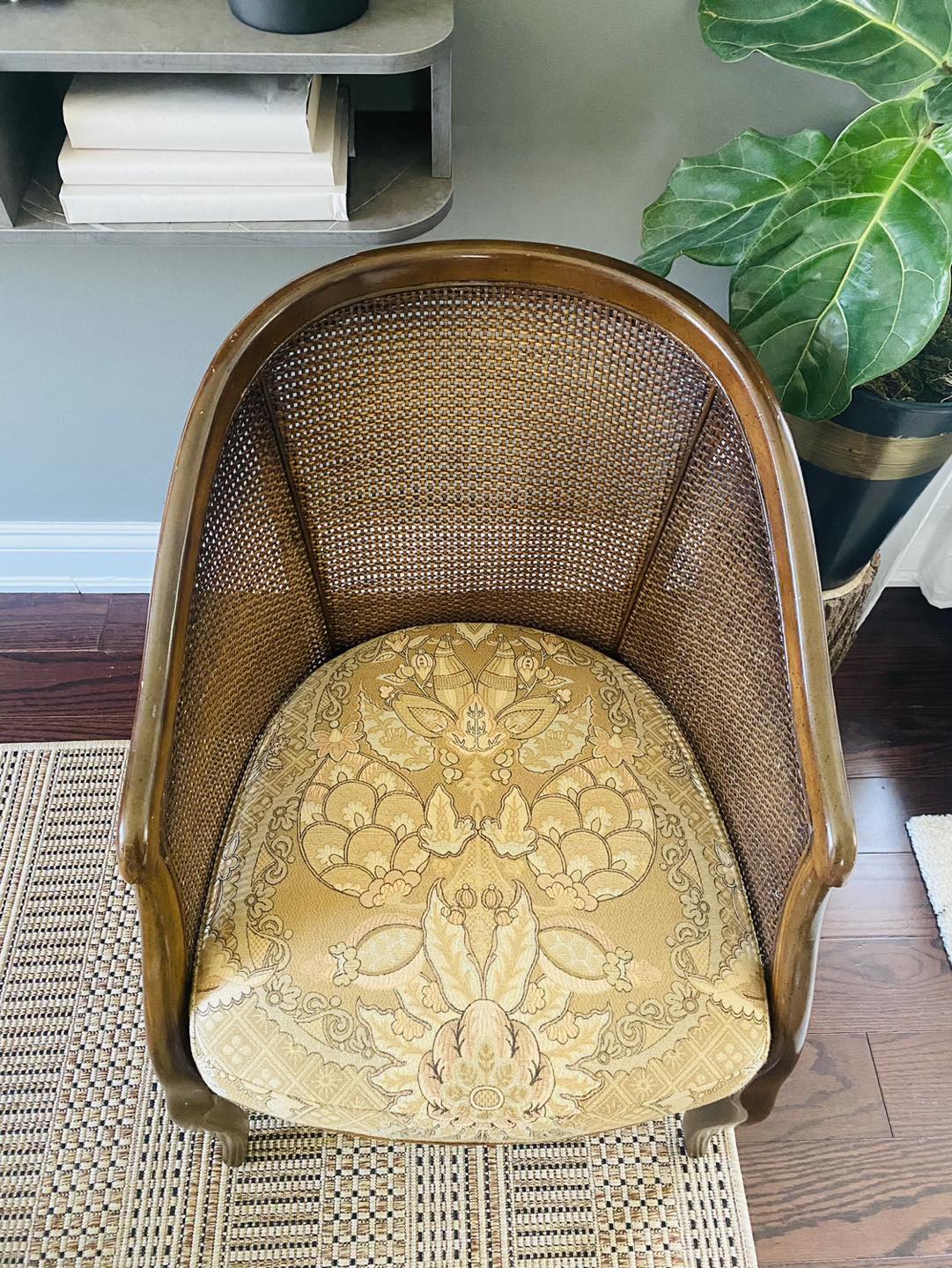 Vintage French Louis XV Style Cane Bergere Lounge Chair - photo 2