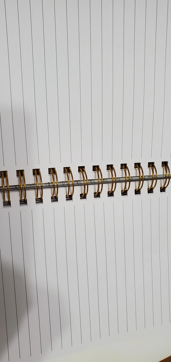 #freecycle sequin notebook - photo 3