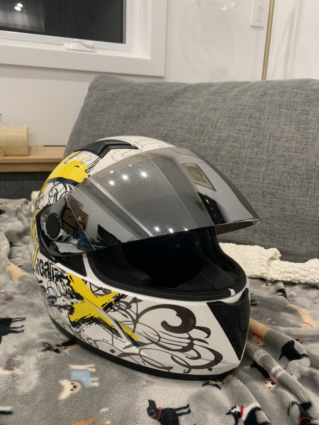 Motorcycle Helmet (Adult size)