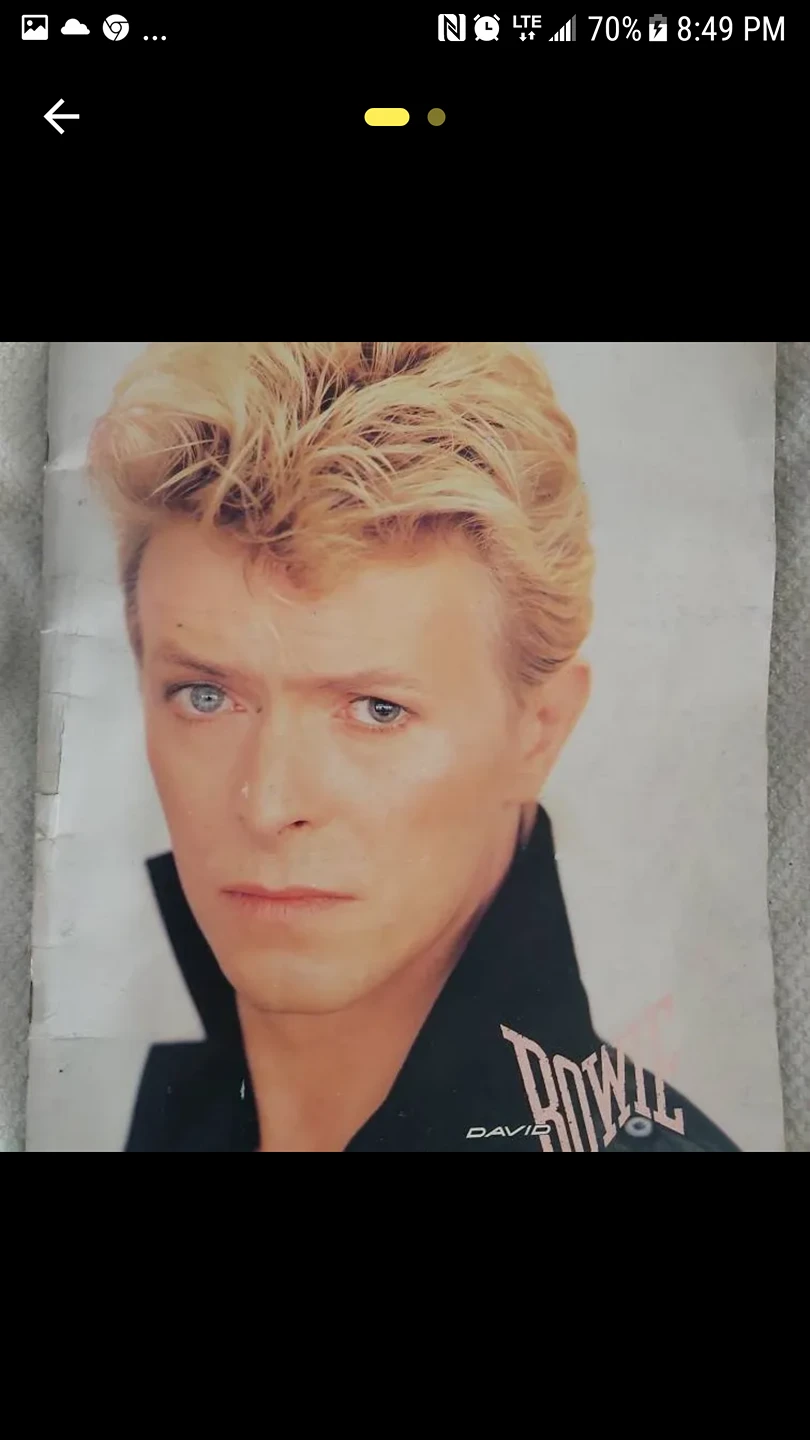 David Bowie Serious Moonlight Tour 1983 Program image indicator(2)