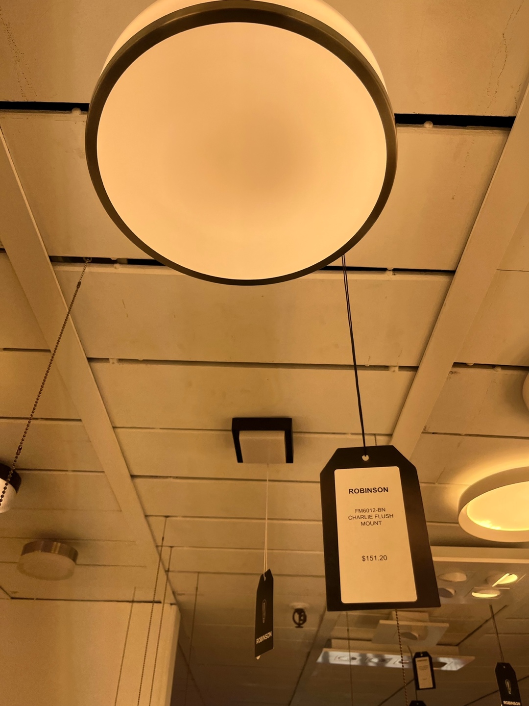 Charlie Flush mount ceiling light - photo 4
