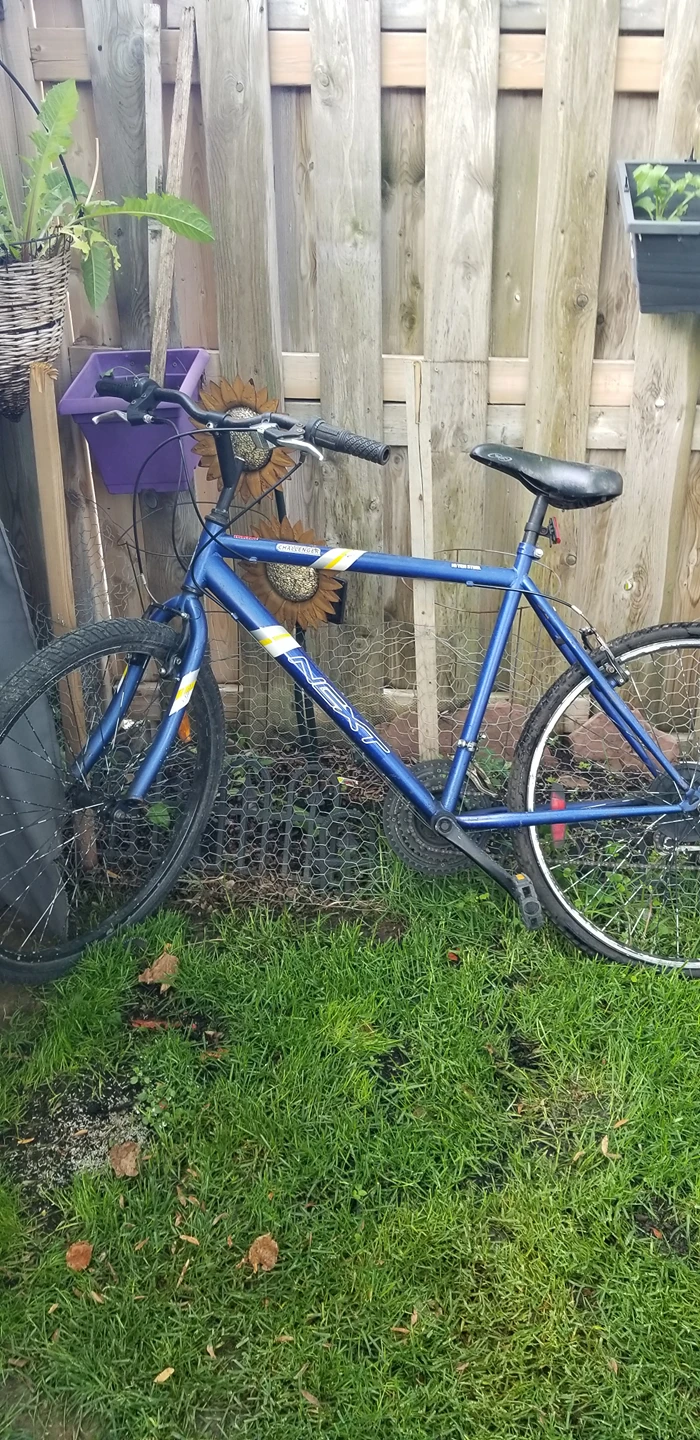 bicycle for sale thumbnail