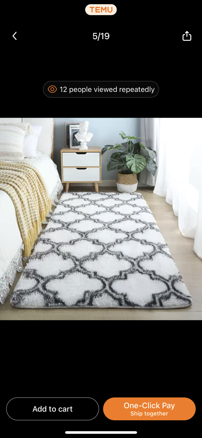 Bedroom carpet / Area rug