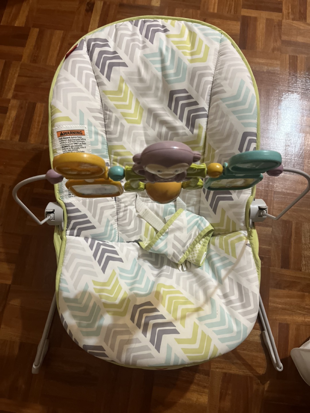 fisher price bouncer 🌱 - photo 2