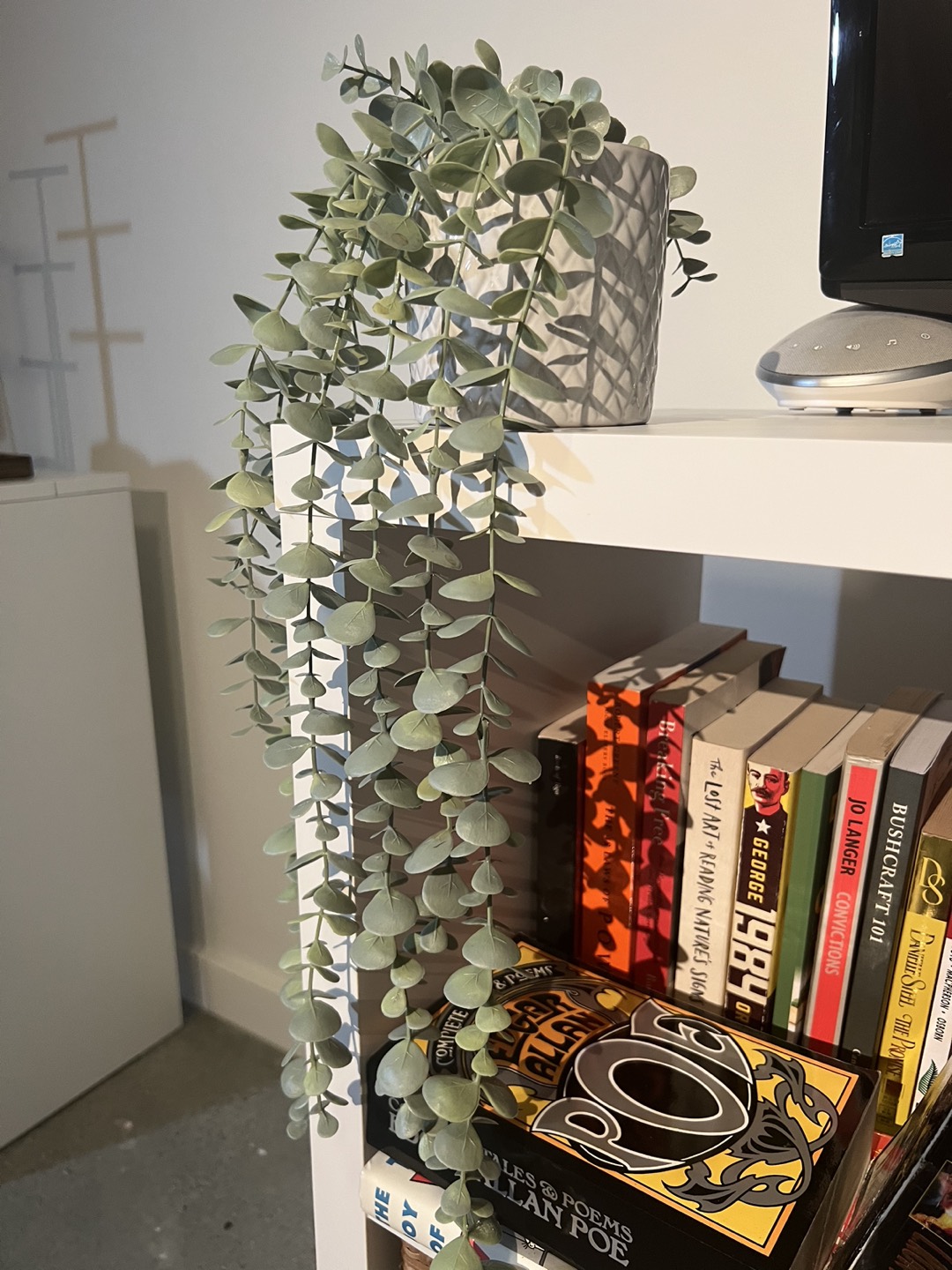 Decorative plants thumbnail