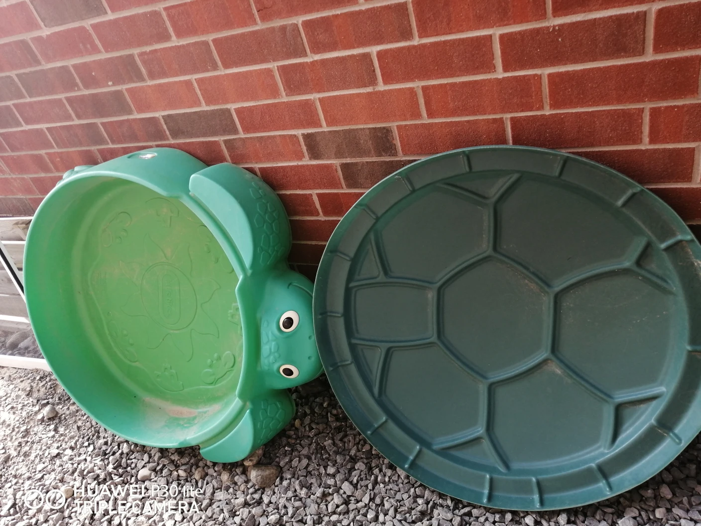 free turtle sandbox thumbnail