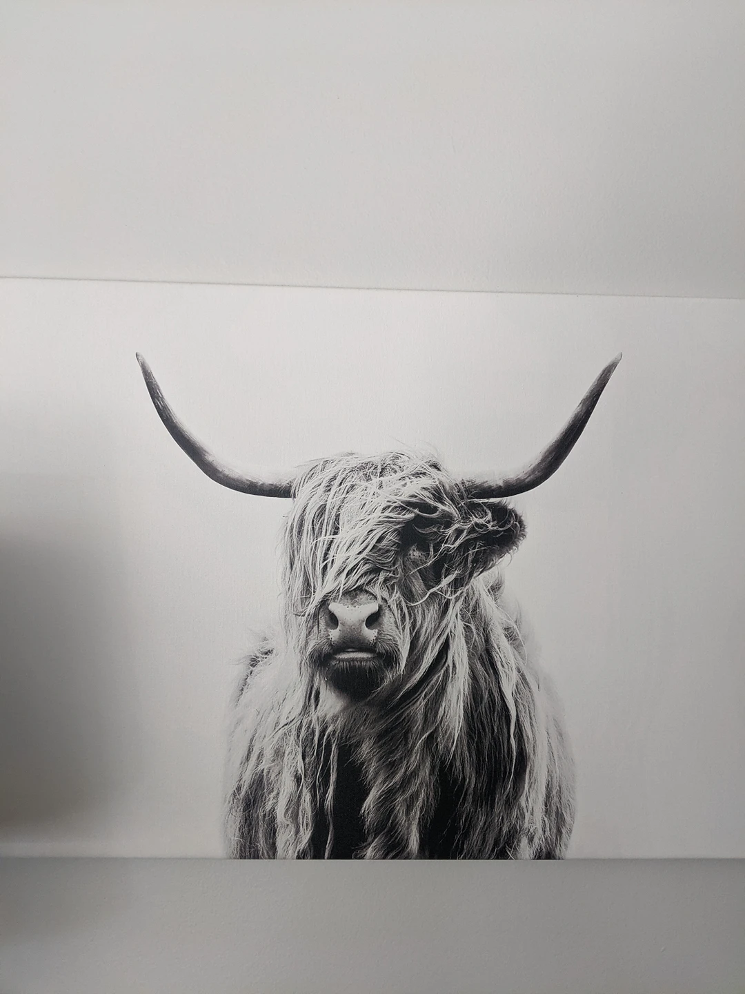 wall art thumbnail