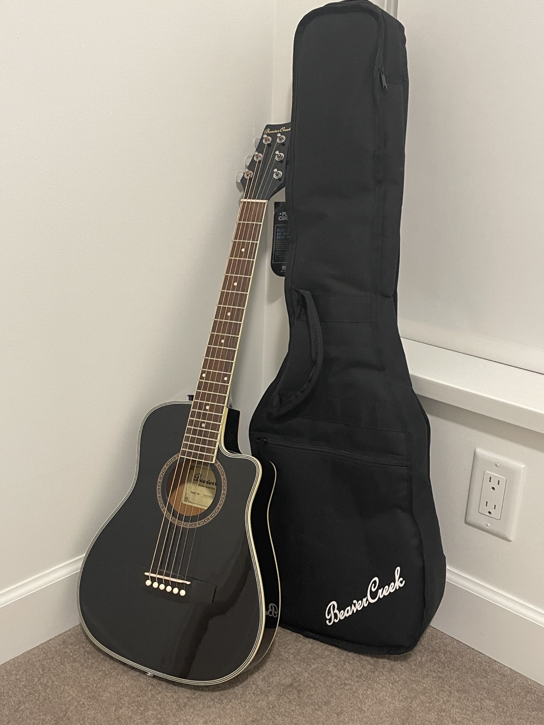 Beaver Creek Handcraft Guitar with cover included