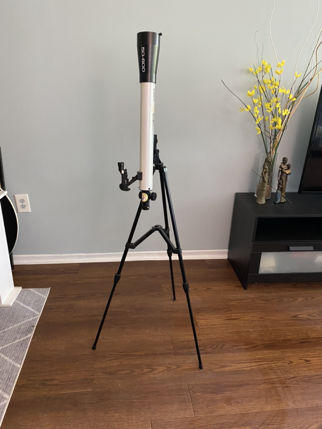 50/600 Refractor telescope, 600mm focal length. thumbnail