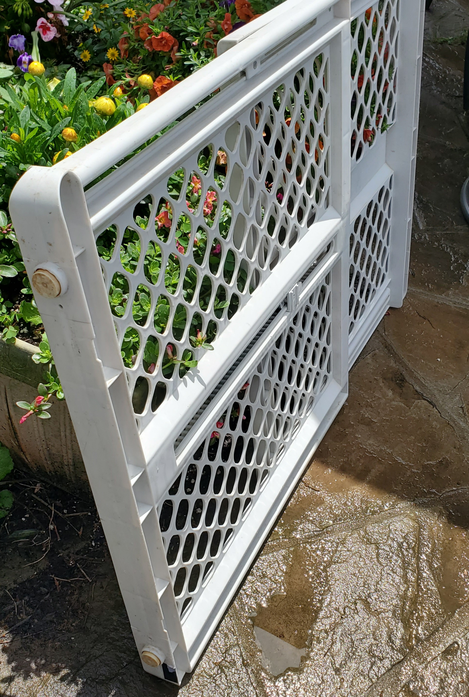 Baby Gate, Pressure Mounted, North Shore Industries - photo 2
