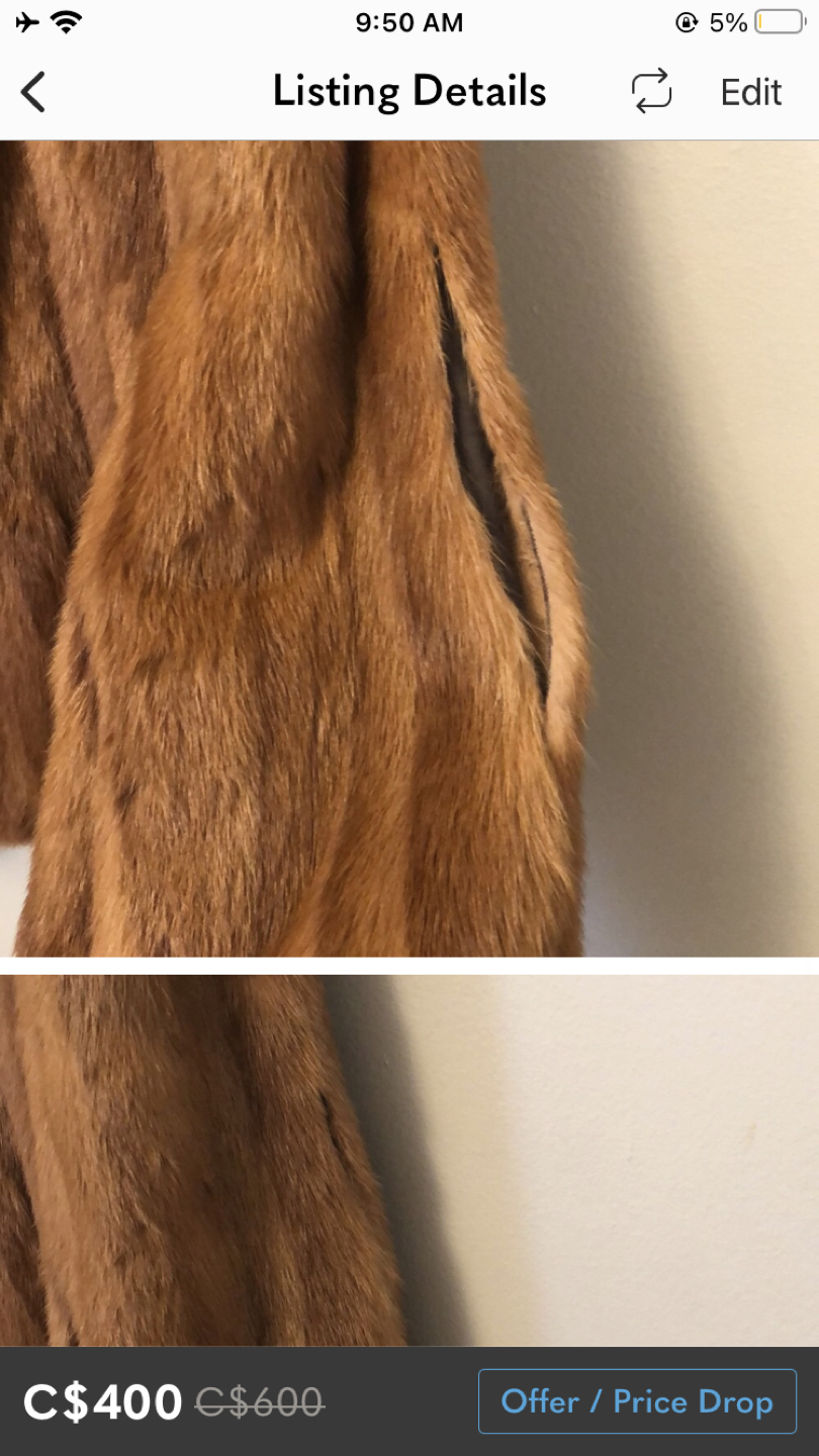 Vintage Mink Coat image indicator(4)