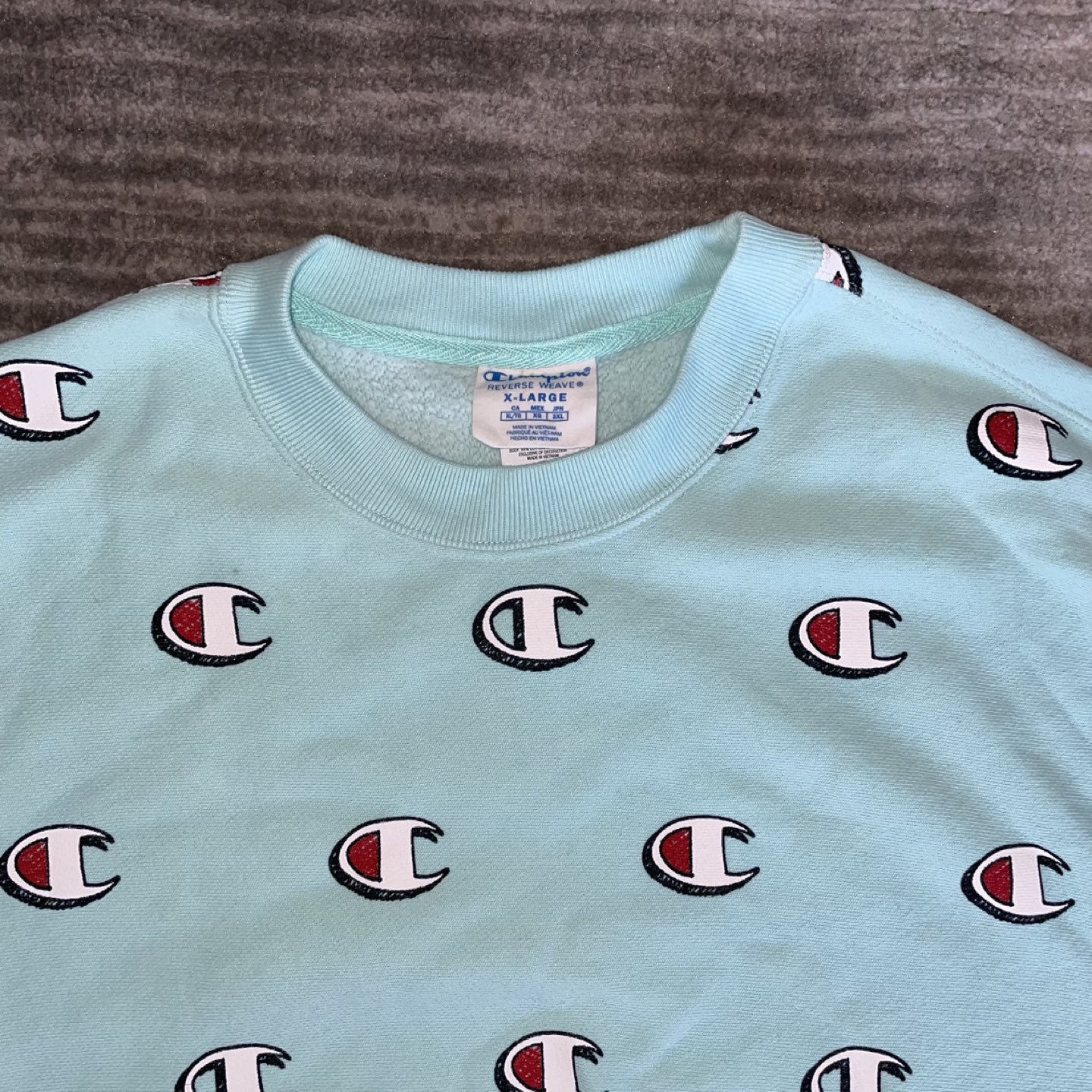Turquoise Monogram Champion Crewneck Sweater - photo 3