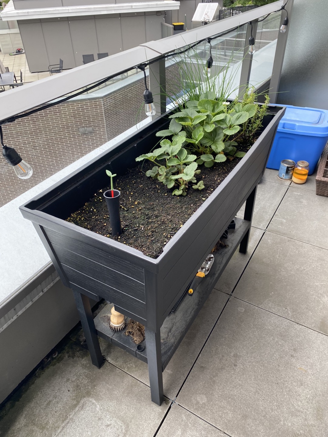 Costco polyurethane planter thumbnail