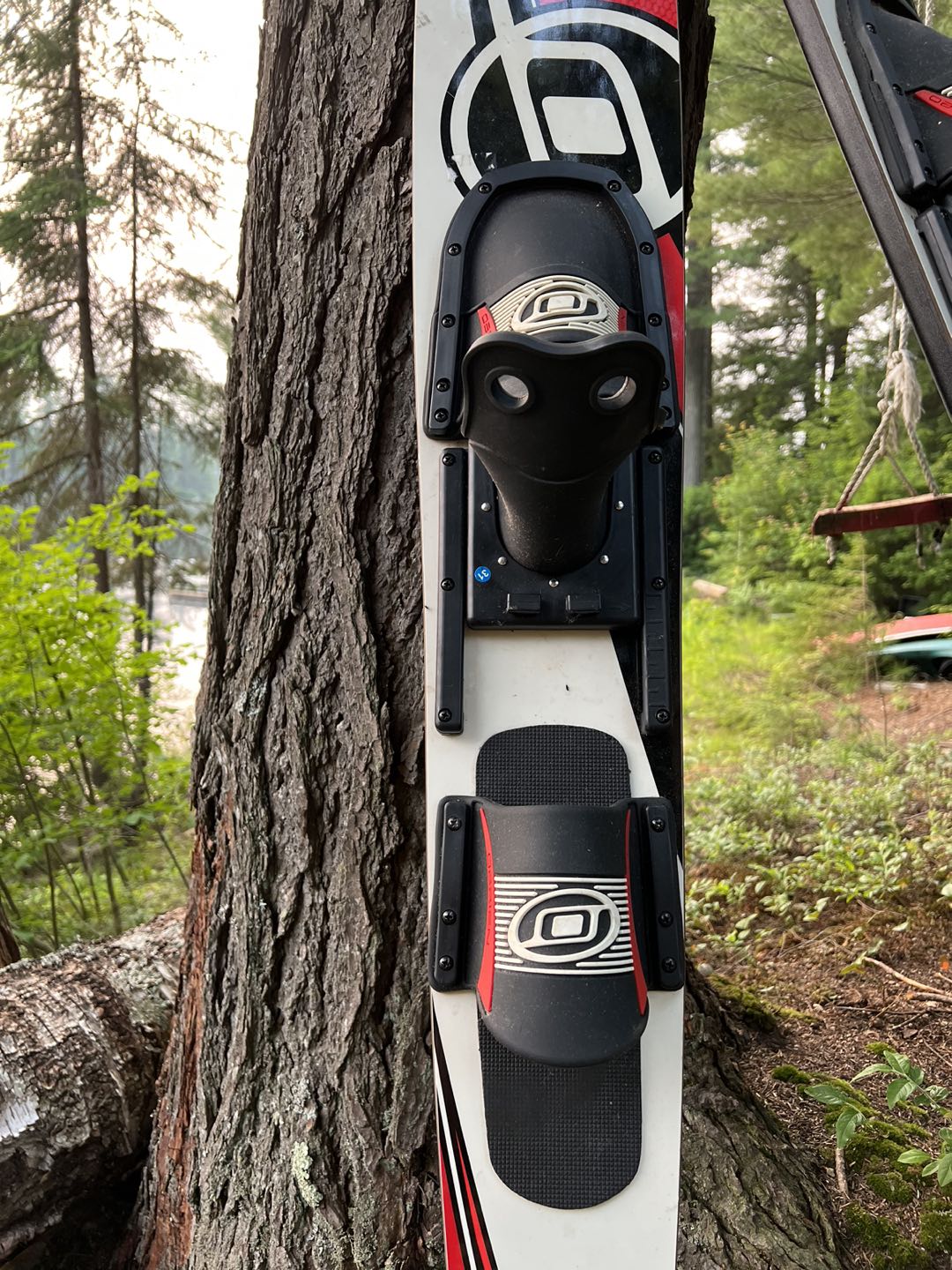 Water Skis image indicator(8)