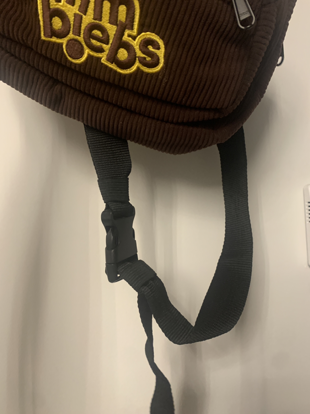 Tim Biebs Fanny Pack image indicator(2)