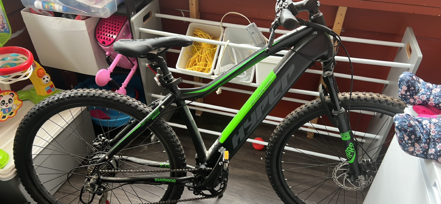Electric assist bike - photo 2