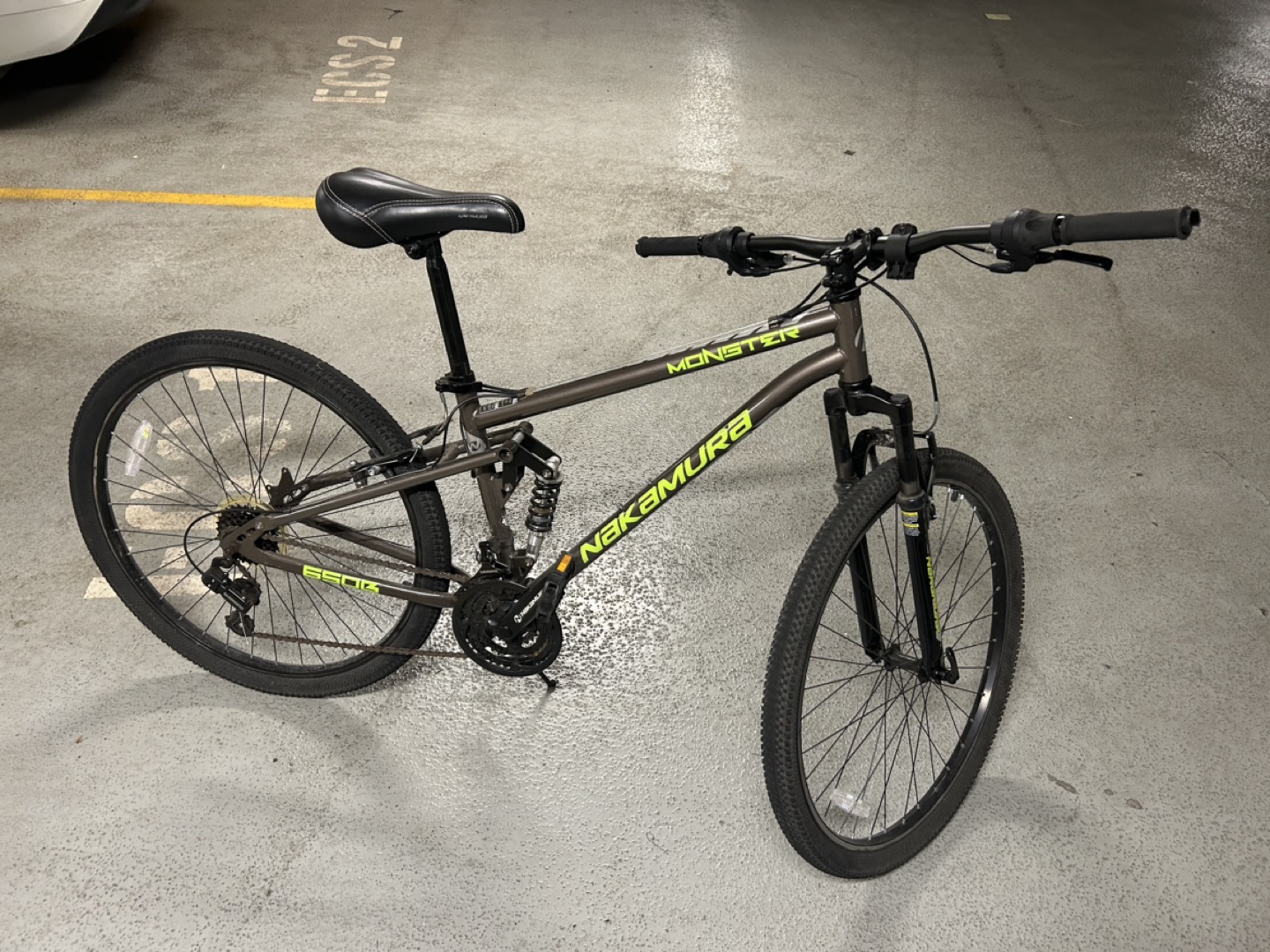 Monster bike (old) - photo 4