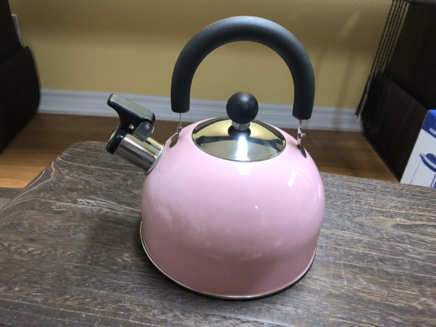 Brand new stainless steel whistling kettle