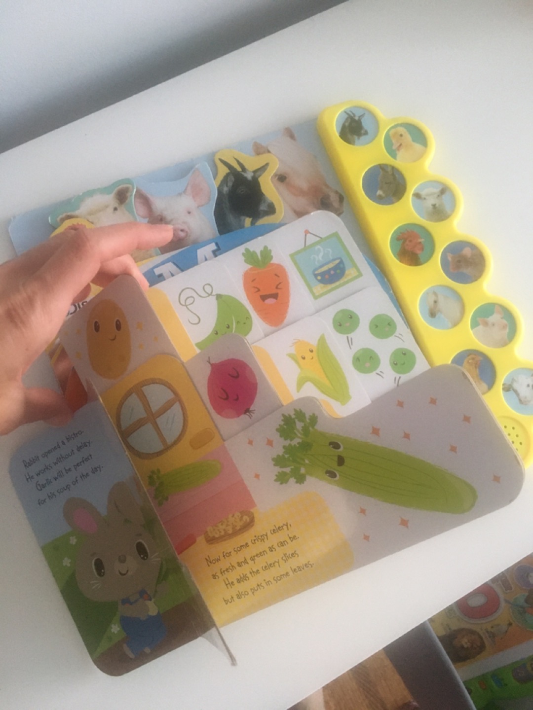 educational books for children, animal sounds 1-3yo thumbnail
