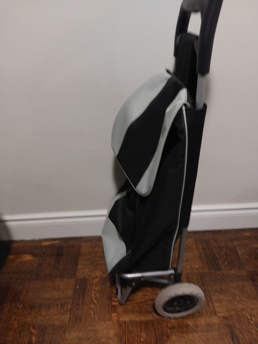 Carry Bag with wheels 