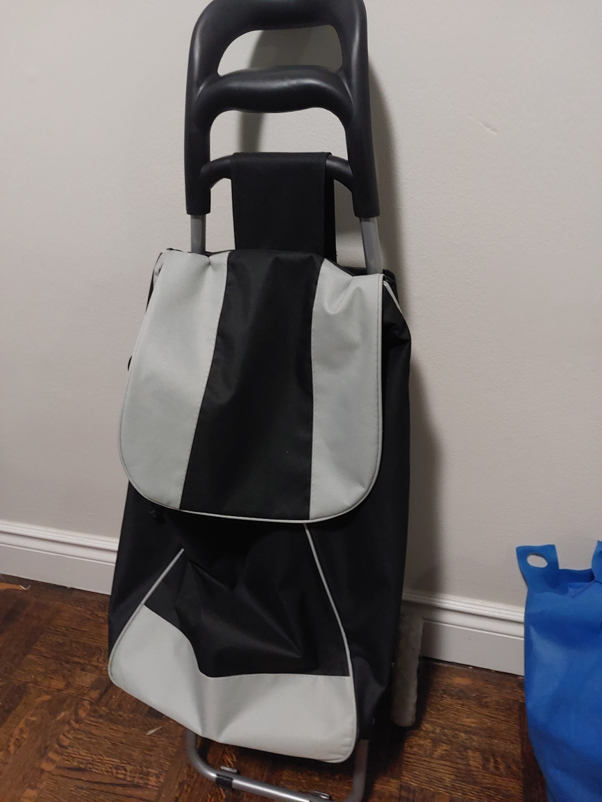 Carry Bag with wheels  - photo 2