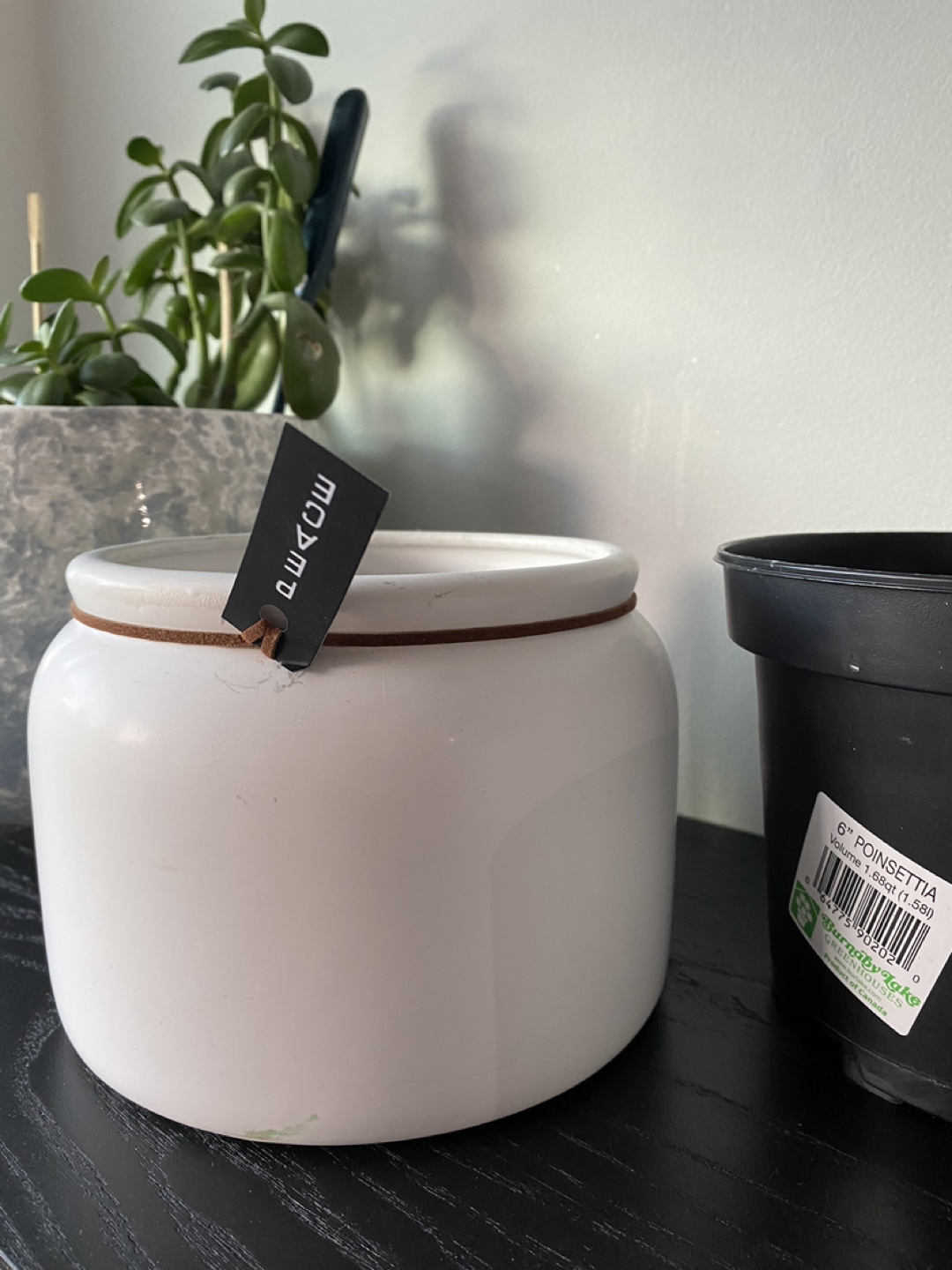 Plant pots ⬆️ - photo 5