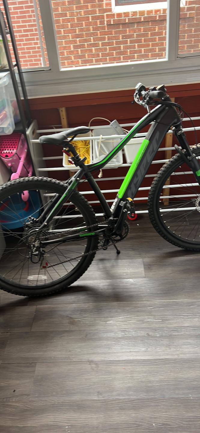 Electric assist bike