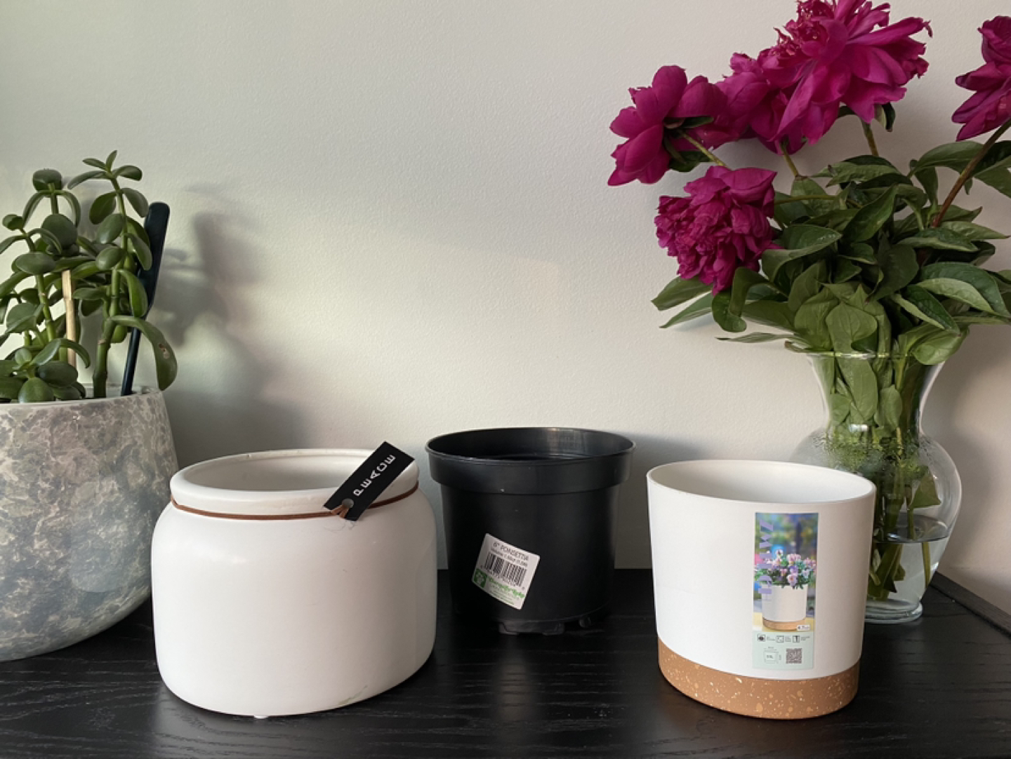 Plant pots ⬆️