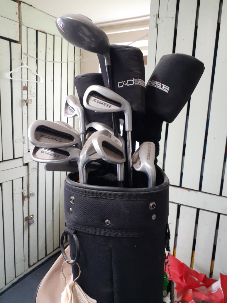 GOLF CLUB SET WITH BAG   (PICS ADDED) thumbnail