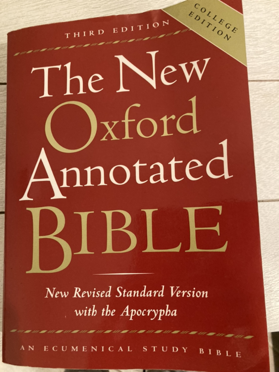 Book- Annotated bible thumbnail