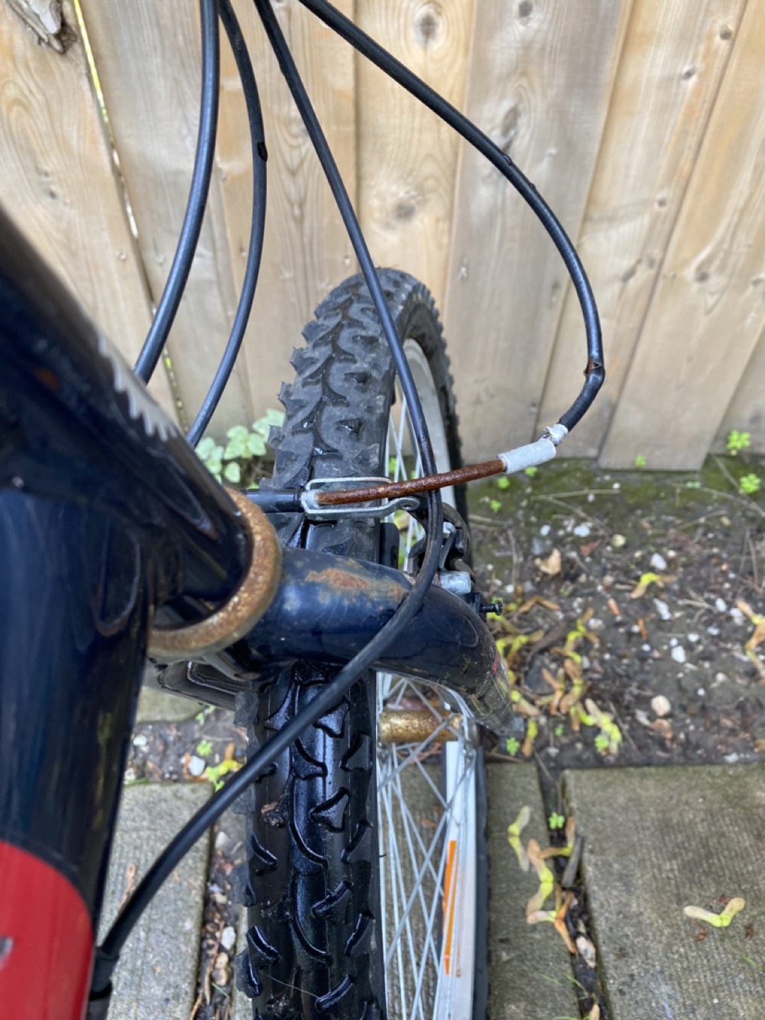 Mountain Bike image indicator(5)