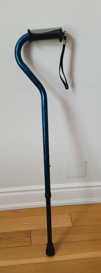 Walking cane 