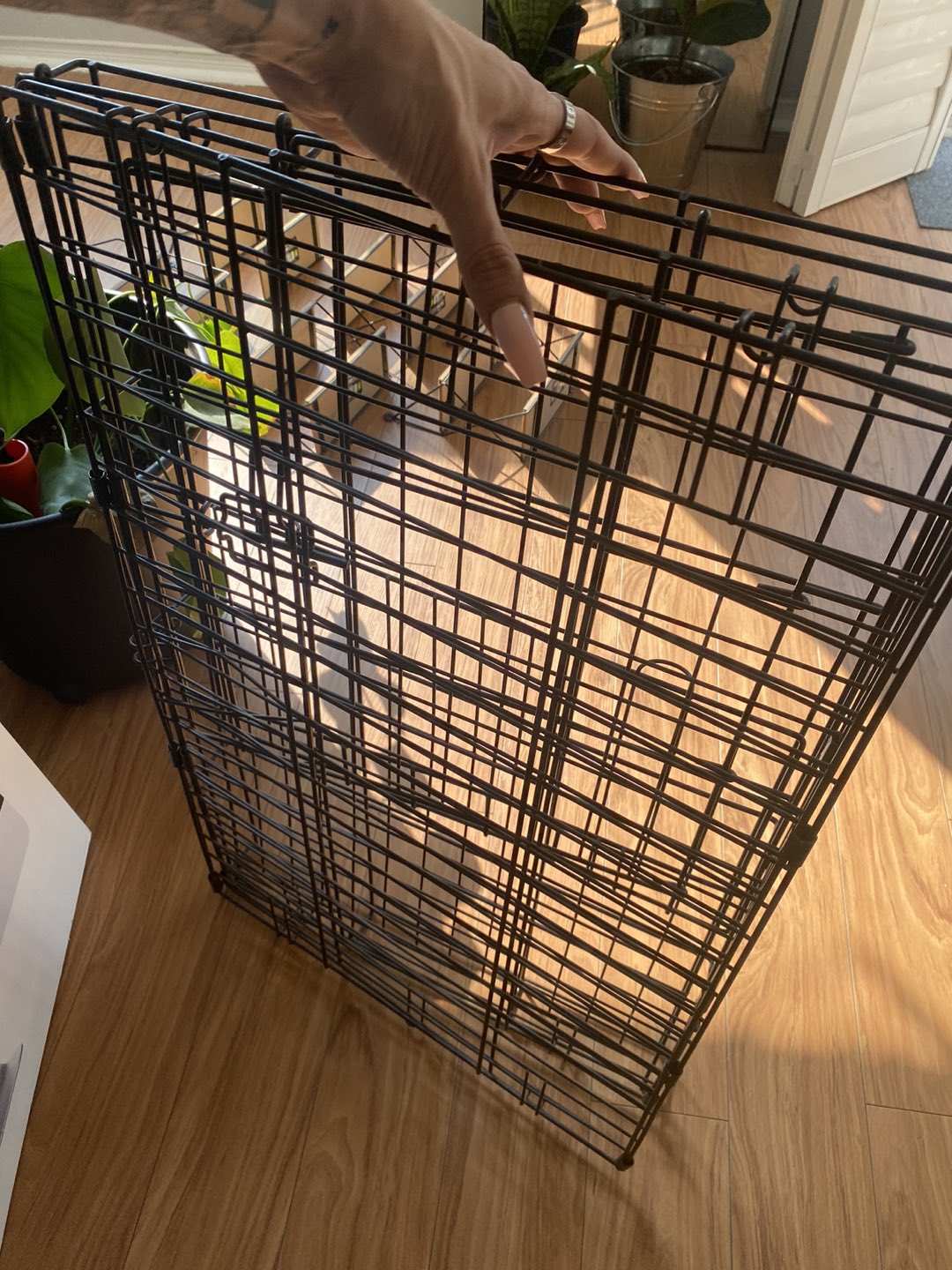 Small dog crate thumbnail