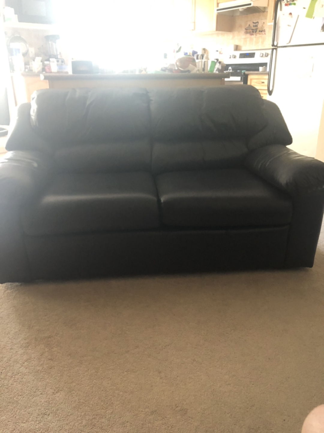 Leather Loveseat - photo 2