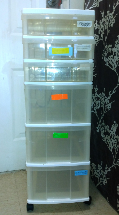 Rubbermaid 6 drawn bin 3 ' 2" Tall thumbnail