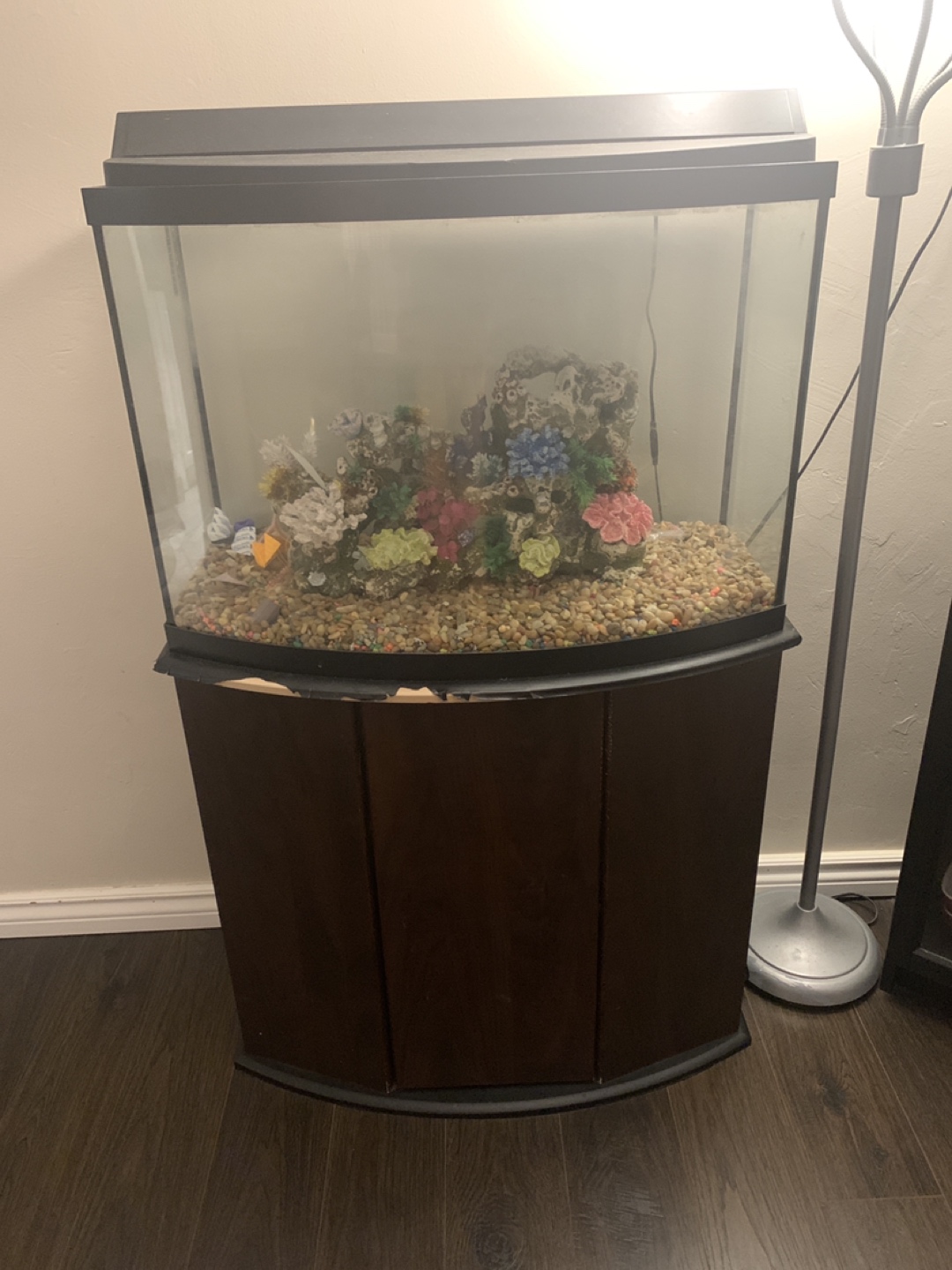 65gal fish tank