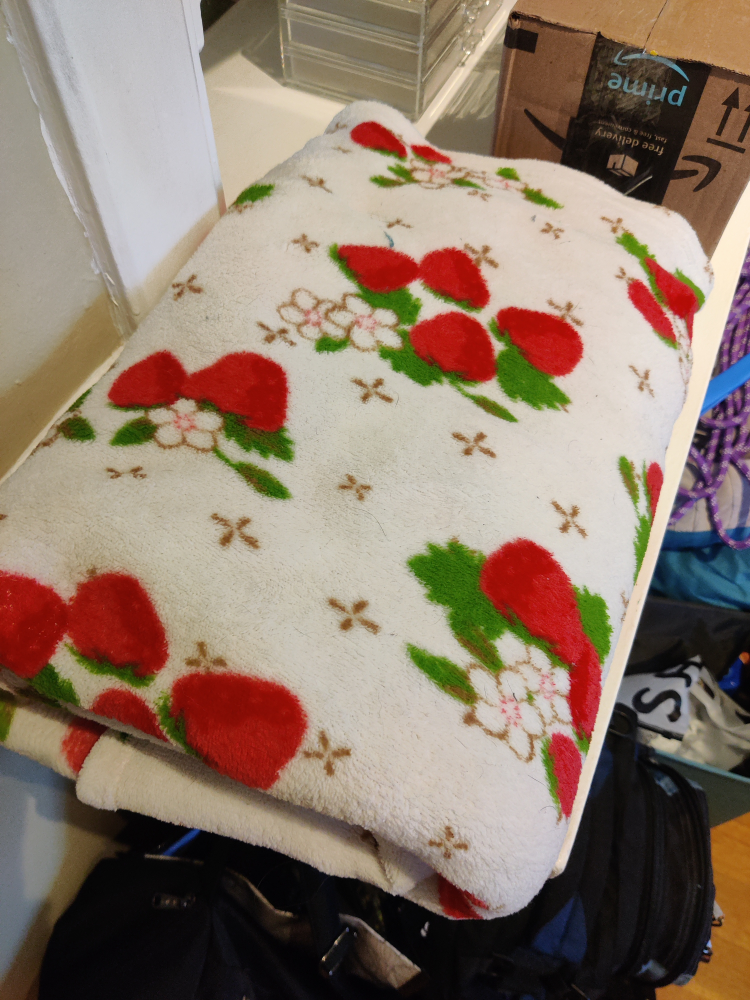 Fuzzy Blanket #freecycle thumbnail