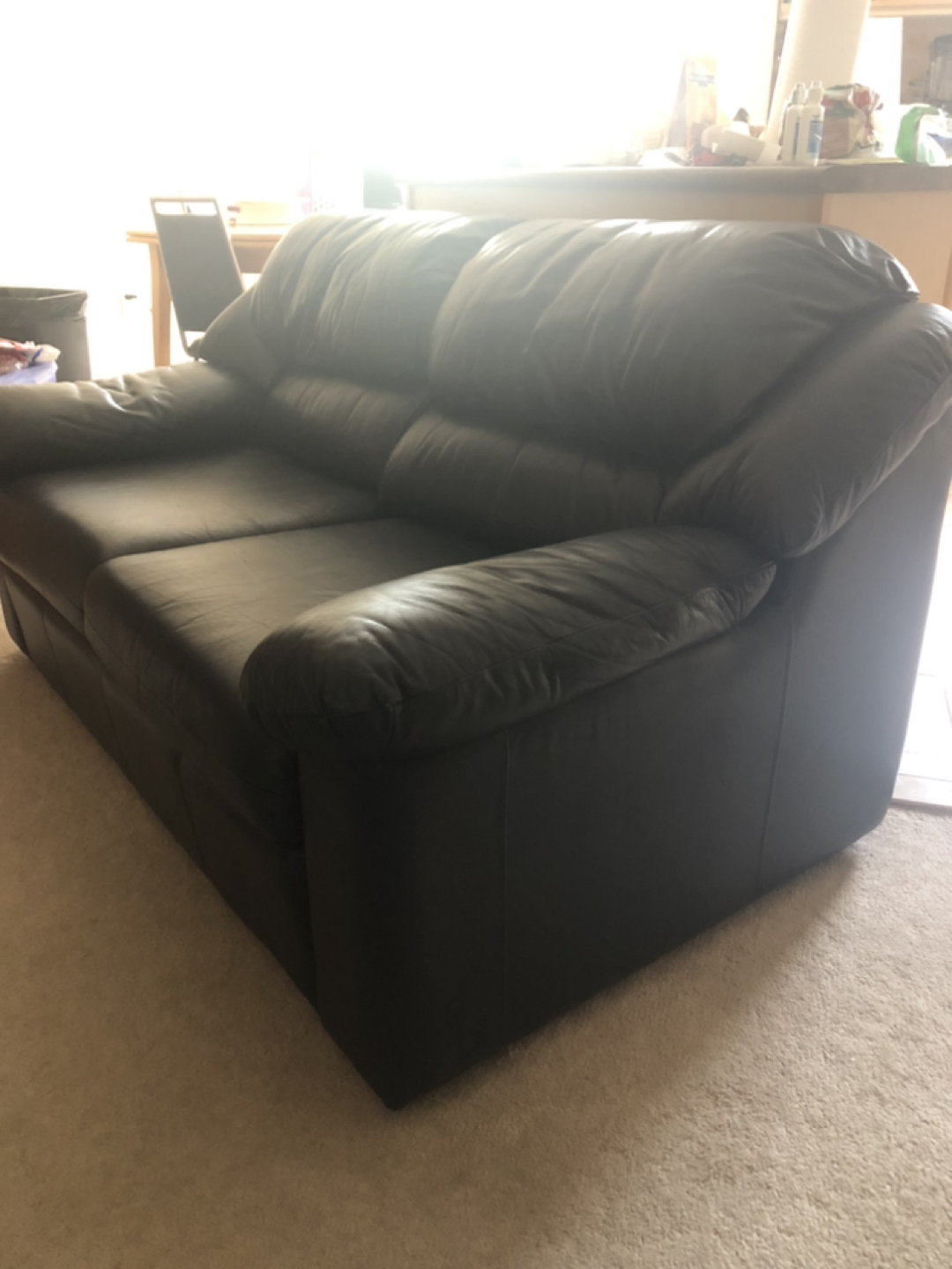 Leather Loveseat