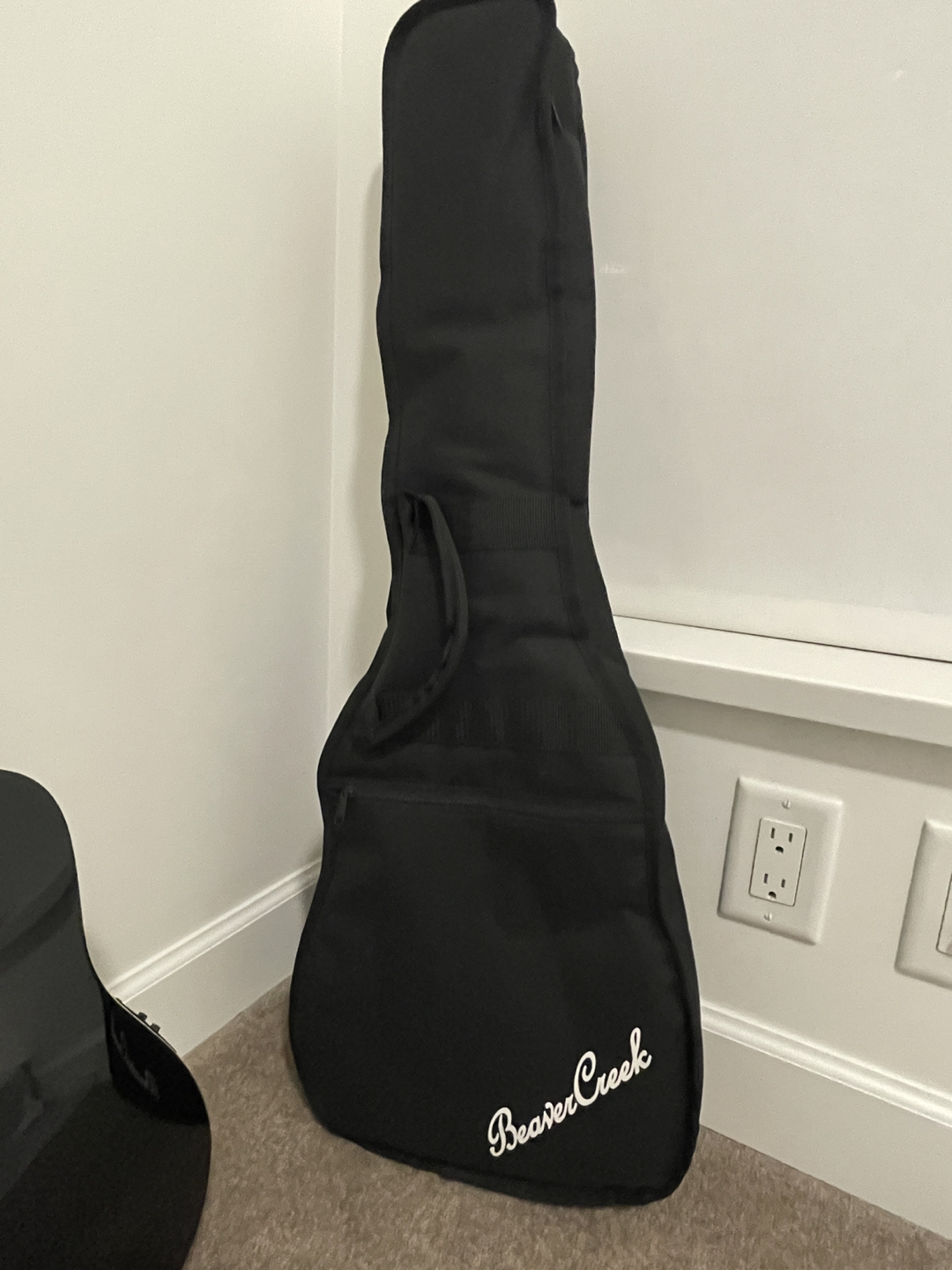 Beaver Creek Handcraft Guitar with cover included image indicator(6)