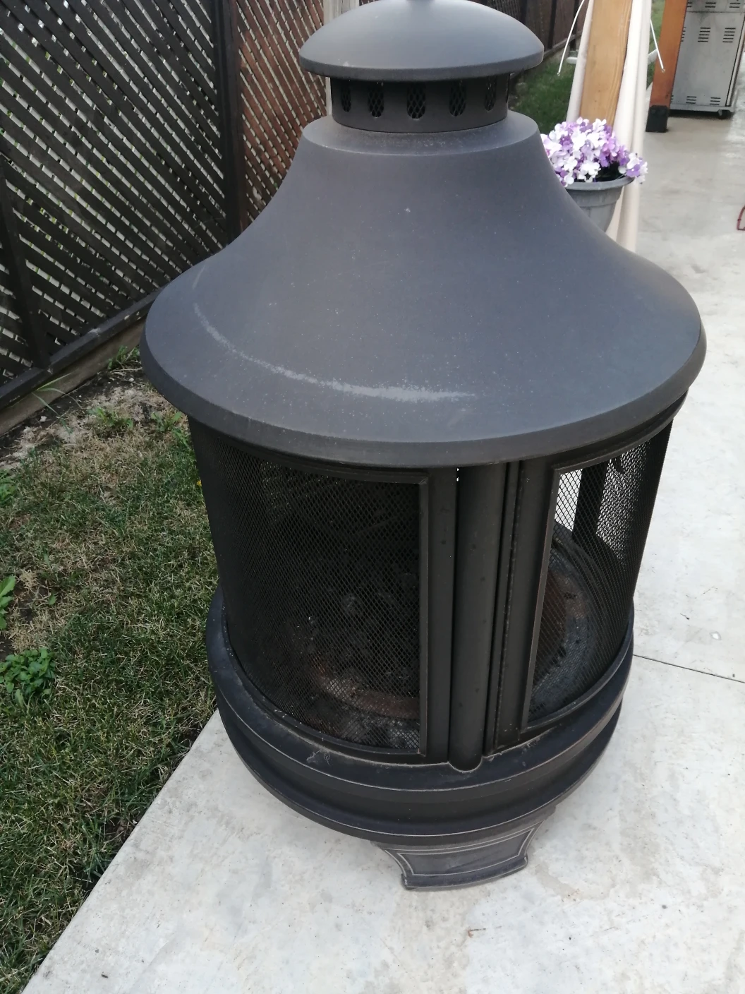 fire pit - photo 2