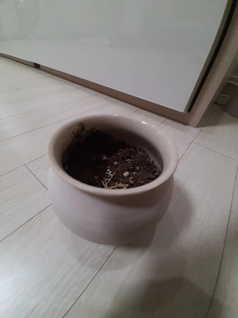 little pot