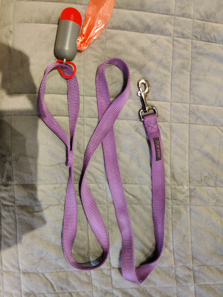 Top Paw 6ft Dog Leash thumbnail