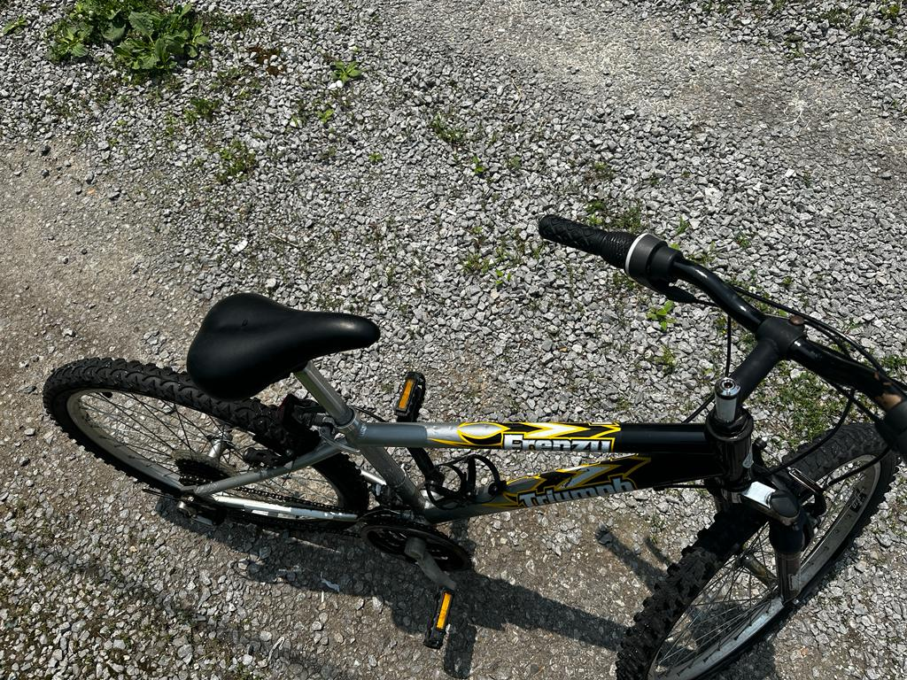 Bicycle - photo 4