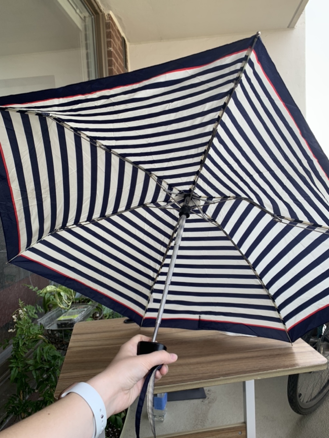 ⬆️Compact umbrella thumbnail