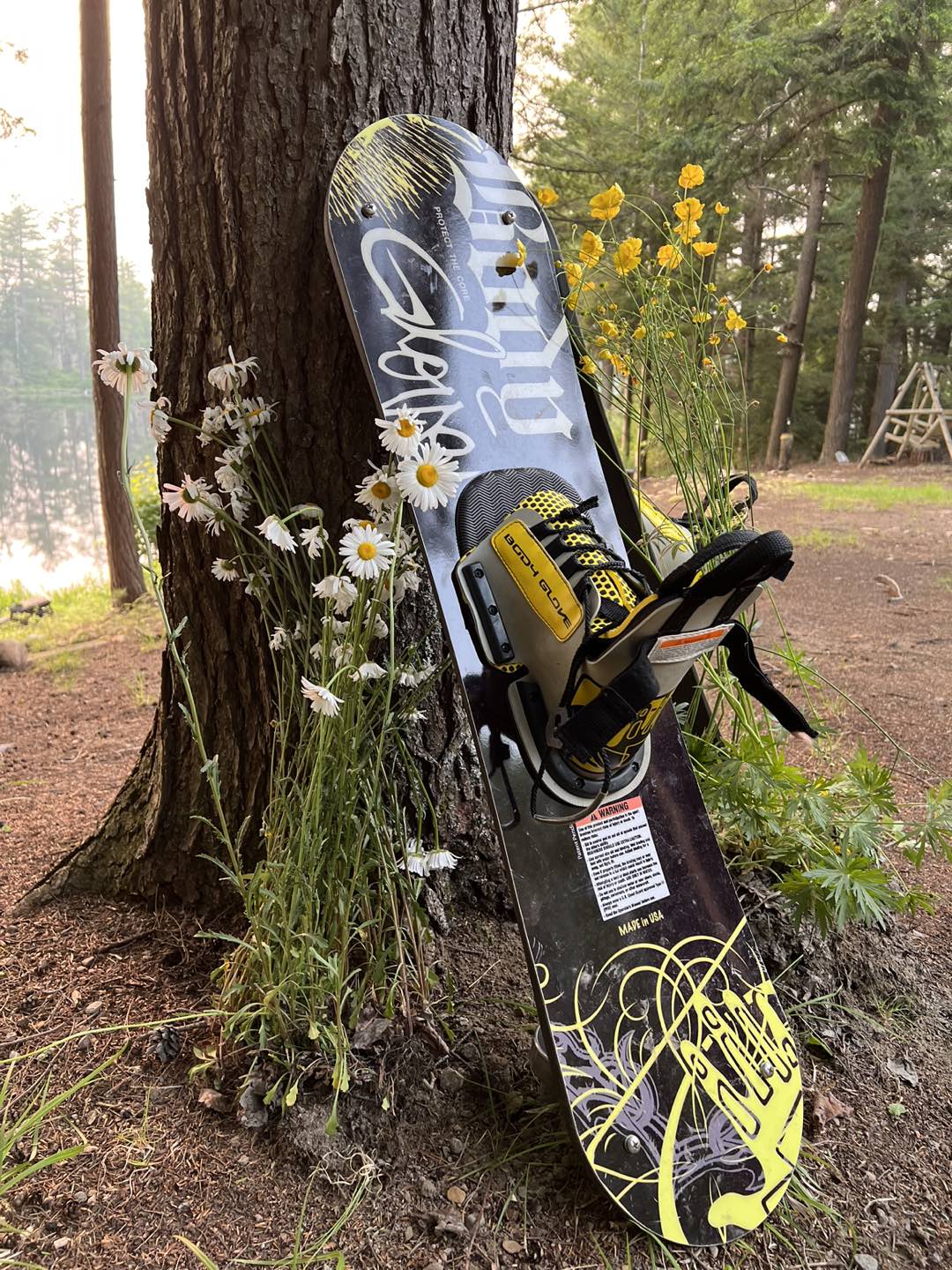 Water skis - photo 5