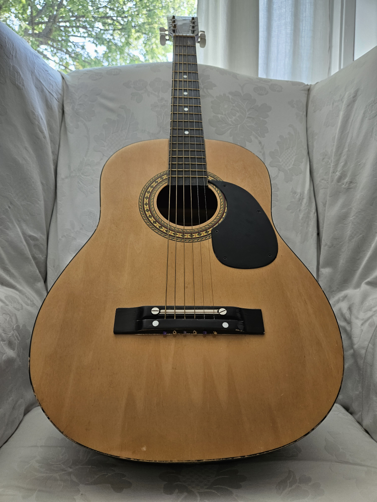 Sierra Acoustic Guitar- perfect for practice/ campfire playing
 thumbnail