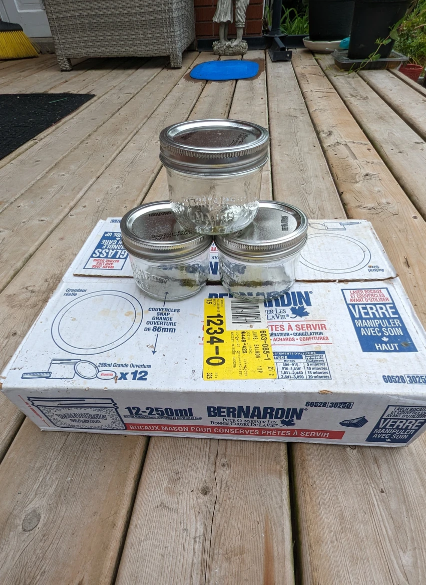 Wide Mouth Mason Jars thumbnail