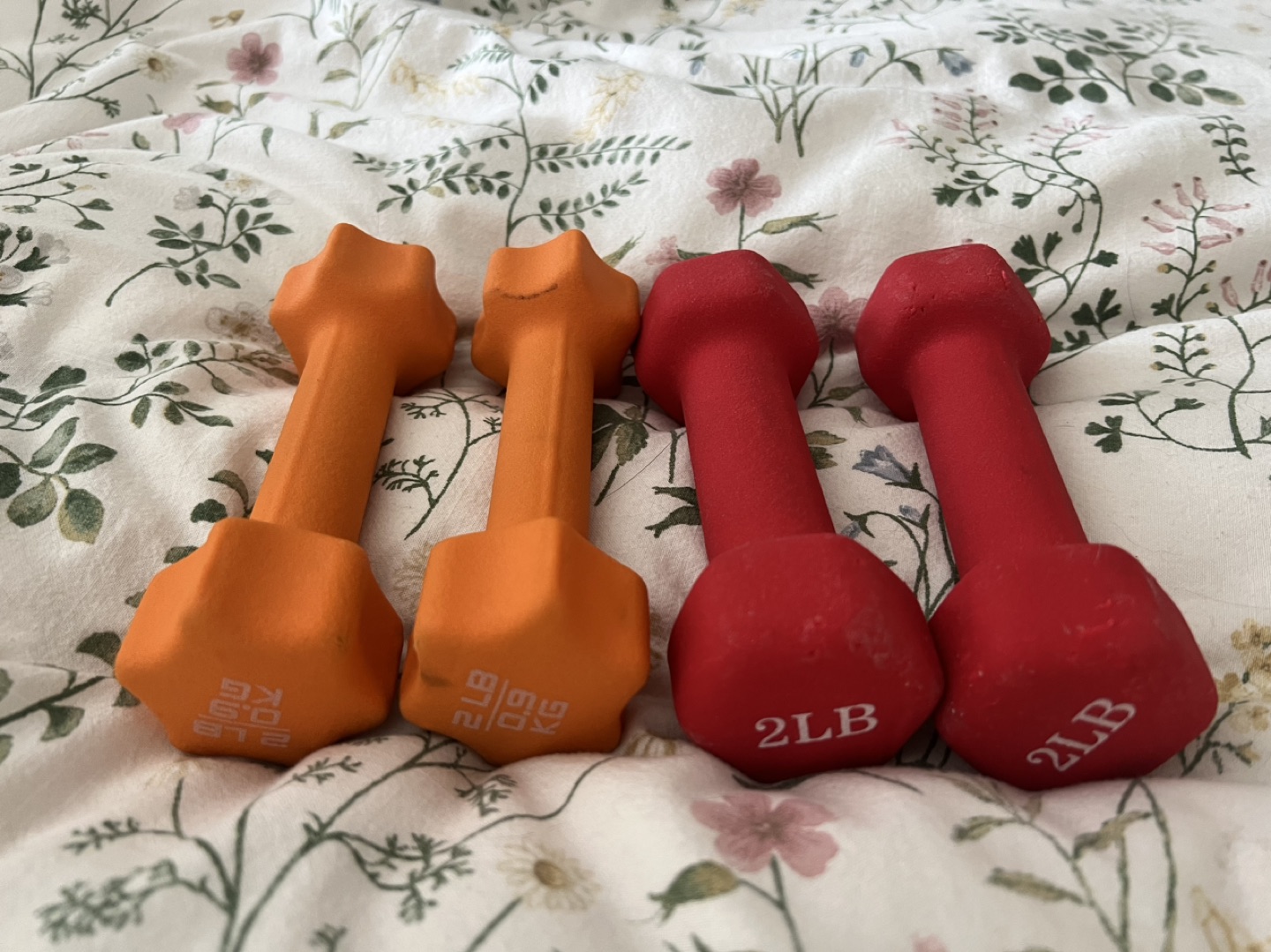 Four 2lb weights thumbnail
